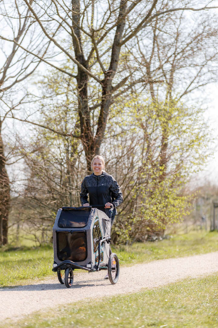 TRIXIE Jogger-Umbausatz für Fahrradanhänger